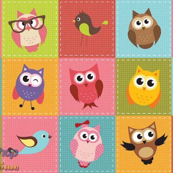 1035p8 colourful owls
